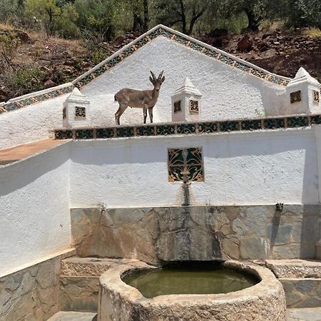 Viva Espana Comares Ngoại thất bức ảnh